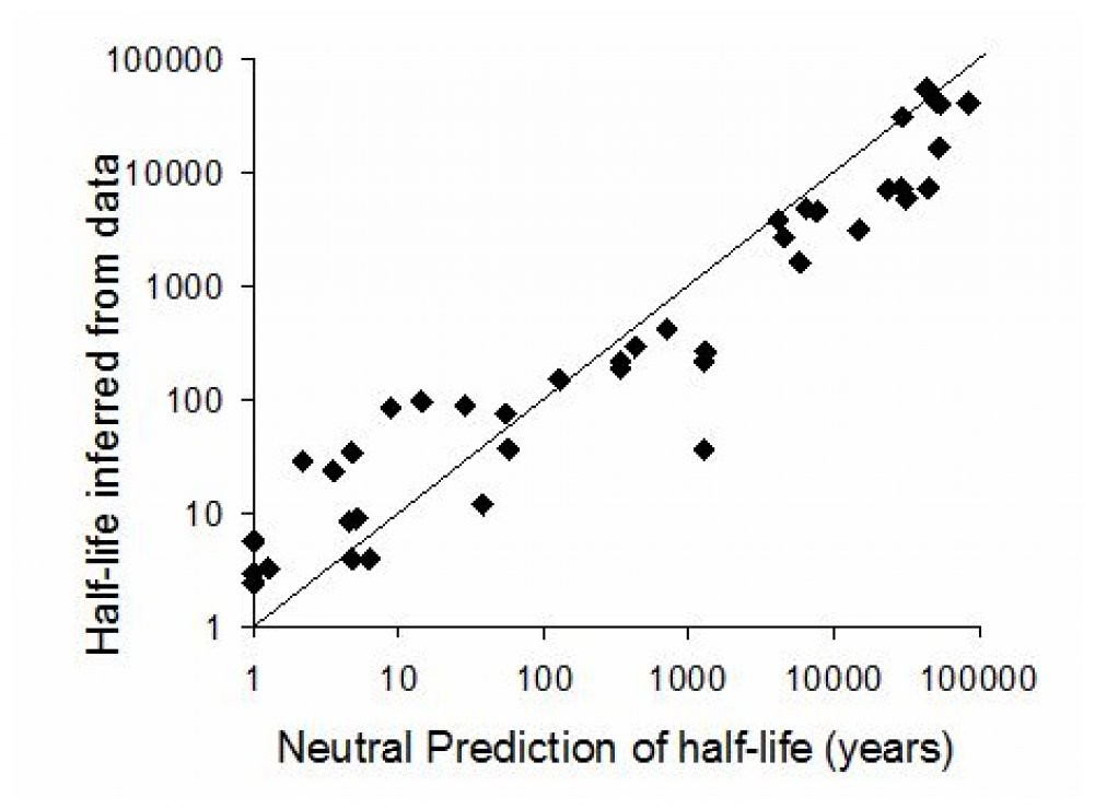 Extinction delays versus neutral prediction (image)